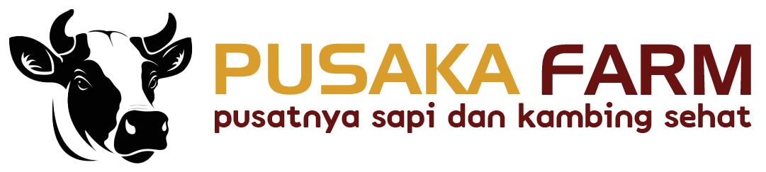 Jual Qurban Kambing Domba Sapi Bogor, Jakarta Terdekat